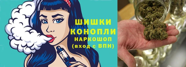 бошки Алексин
