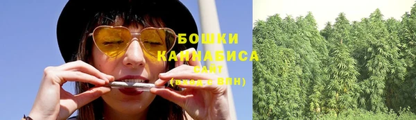 бошки Алексин