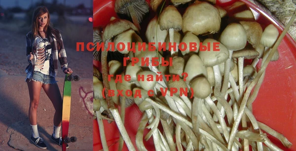 спиды Алексеевка